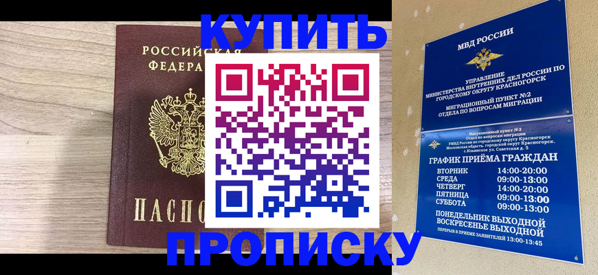 прописка 2025 в Раменском